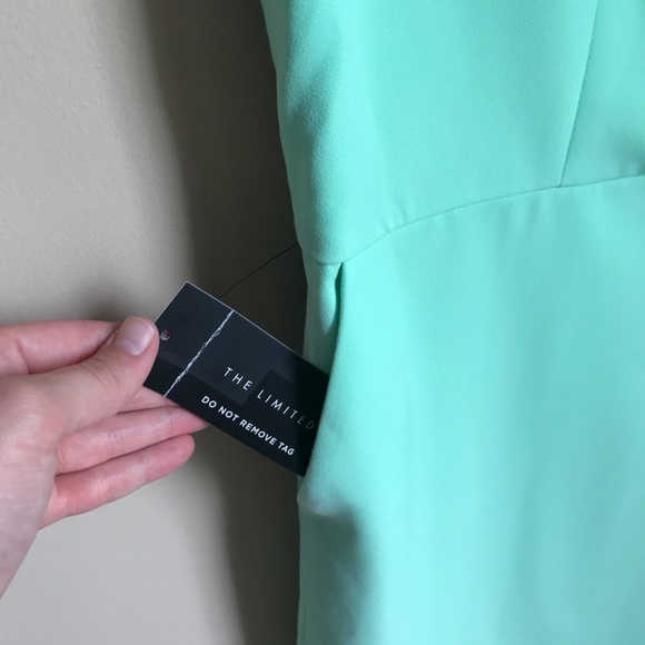 NWT The Limited Mint Scallop Dress - Picture 5 of 9